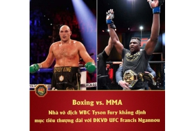 Boxing vs. MMA